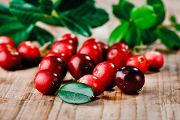 Fresh red cranberries