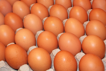 Фон из коричневых куриных яиц в кассете