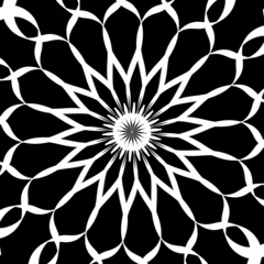Papier Peint Lavable Fleurs noir et blanc Ruban Fleur