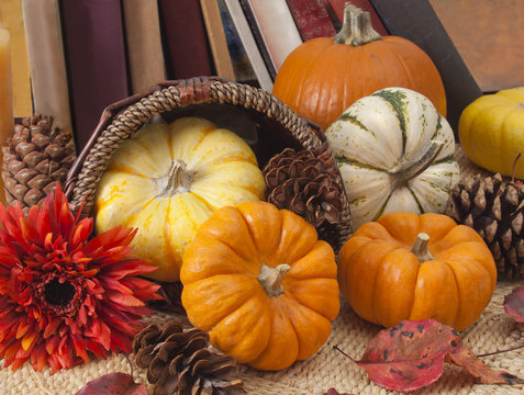 Ornamental pumpkins and books
