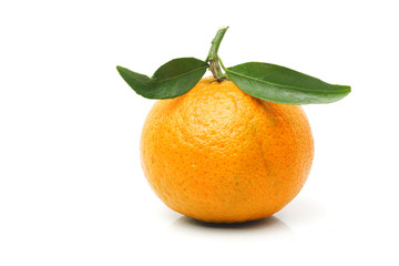Mandarin with leaves