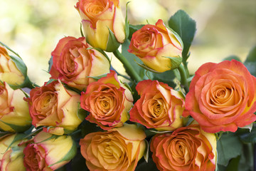 Beautiful orange bouquet of roses