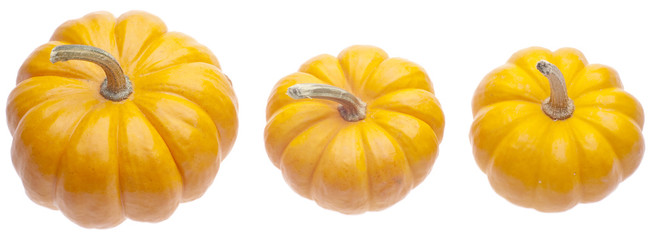 Festive Fall Pumpkins