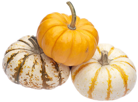 Festive Fall Pumpkins