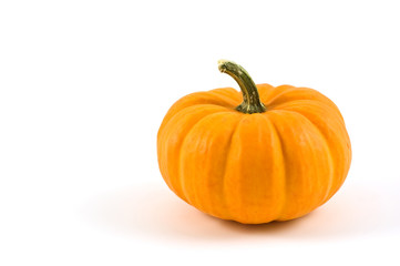 Miniature pumpkin