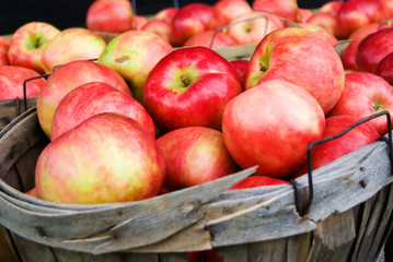 Bushel of Apples