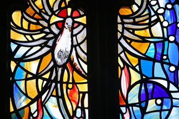 stained glass dove - obrazy, fototapety, plakaty