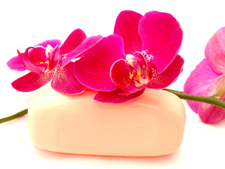 Orchid and soap