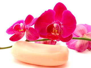 Orchid and soap