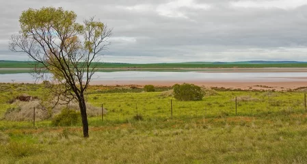 Selbstklebende Fototapeten Ozeanien hill and grass in the australian landscape, south australia  © Enrico Della Pietra