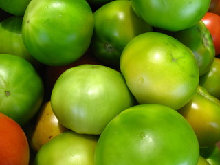 Tomates verdes