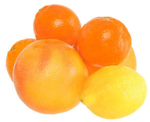 Orange, lemon, grapefruit and tangerine.