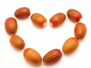 Acorns