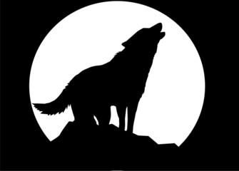 wolf (black background)