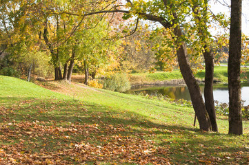 Fototapeta premium Autumn landscape