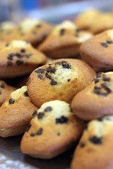 madeleines aux pépites de chocolat