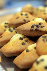madeleines au chocolat