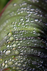 bulles d'eau en équilibre