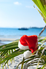 Red Santa's hat hanging on palm tree at the tropical beach