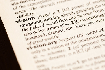 vision