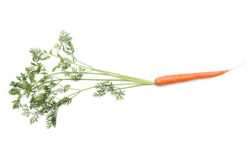 Karotten auf weißem Hintergrund