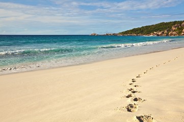 footprints on sandy beach