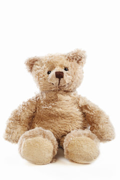 Teddy bear doll