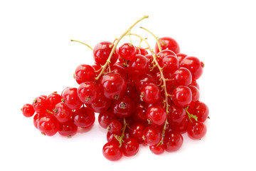 Red currant