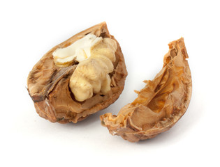Walnut