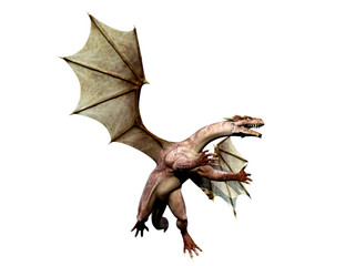 dragon ready to battle