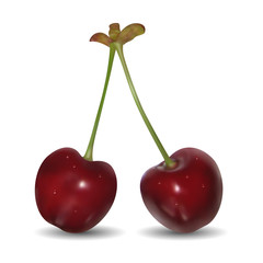 Pair of sweet cherries on white background.  Mesh is used