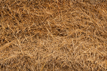 straw background