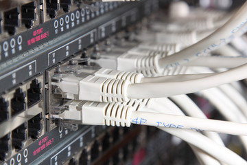 network cables connected to switches