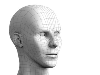 Polygonal Head