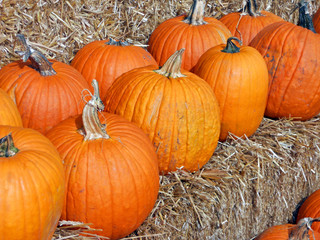 Jack o' lantern pumpkins for sale at market