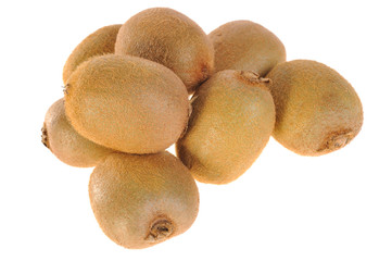 kiwi on white background