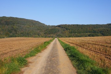 Fototapeta na wymiar A path through harvested fields