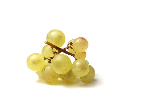 Raisin Blanc