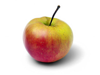 Красно желтое яблоко на белом фоне, вид сбоку