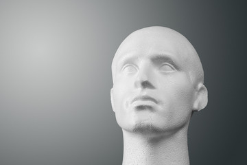 Polystyrene Mannequin Head Portrait
