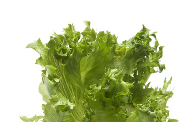 Fototapeta premium green salad