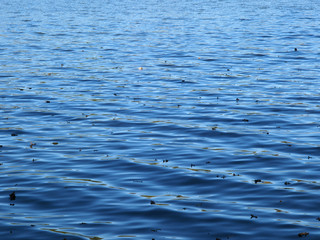 Blaue Wasseroberfl&auml;che