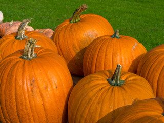 Colorful pumpkins for Halloween Scary Jack