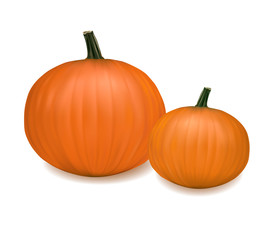 Two fresh pumpkins. Photo-realistic vector.