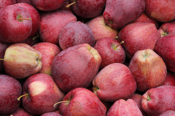 Pommes rouges (#8)