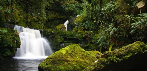 Foto op Canvas Rainforest stream © stevenjfrancis