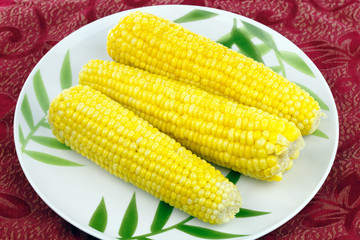 Corn Cobs Cooked Buttered