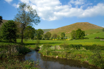 Looking Over The Water