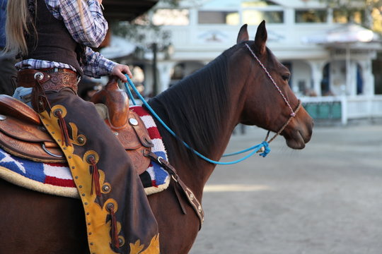 Westernreiten