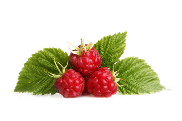 Raspberry with green leaves